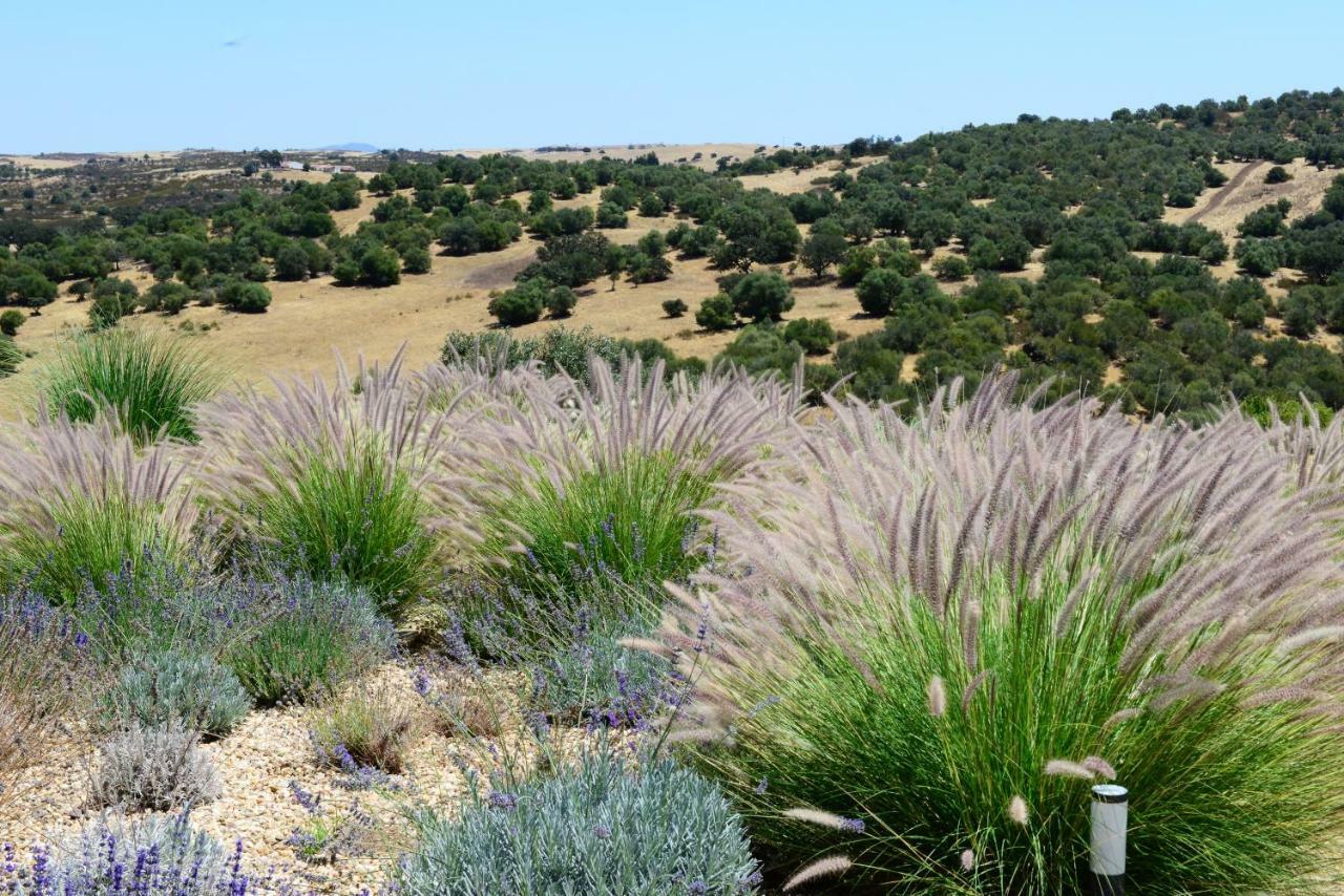 Vistas - Herdade Do Zambujal カシュトロ・ベルデ エクステリア 写真